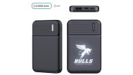 Powerbank